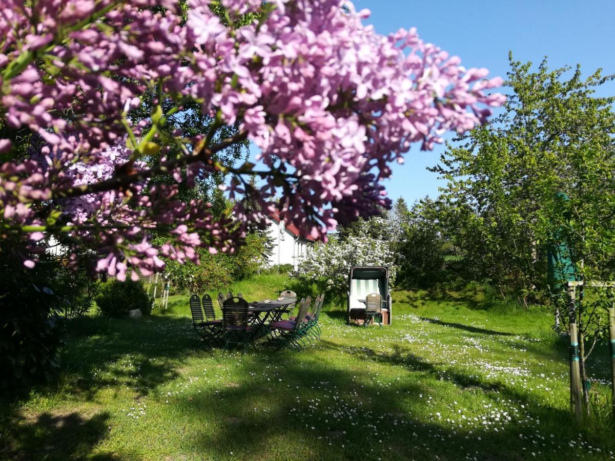 Wirtshaus Neuenkirchen Hotel Neuenkirchen auf Rugen Luaran gambar