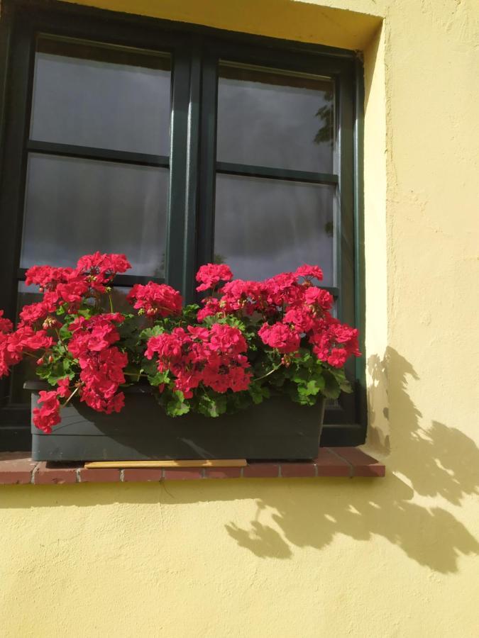Wirtshaus Neuenkirchen Hotel Neuenkirchen auf Rugen Luaran gambar